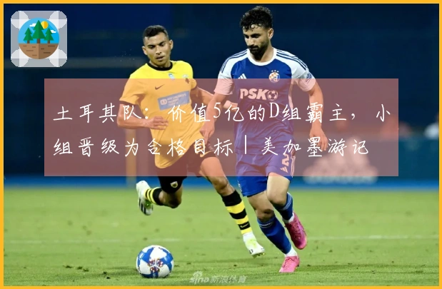 土耳其队：价值5亿的D组霸主，小组晋级为合格目标｜美加墨游记