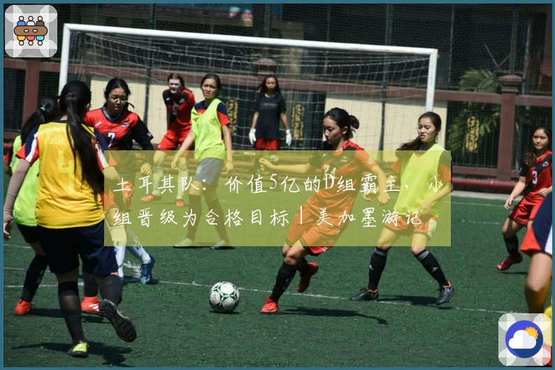 土耳其队:价值5亿的D组霸主,小组晋级为合格目标|美加墨游记